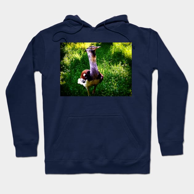 Stork Hoodie by mtndew3301@gmail.com